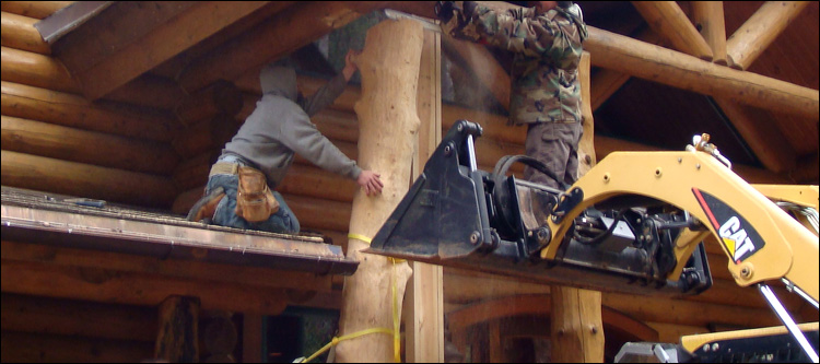 Log Home Log Replacement  Chester, Ohio