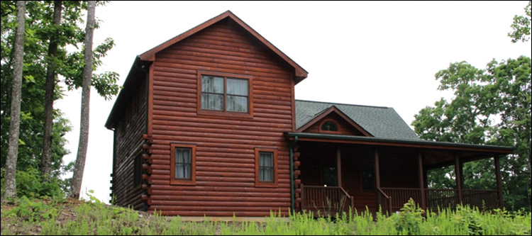 Professional Log Home Borate Application  Reedsville, Ohio